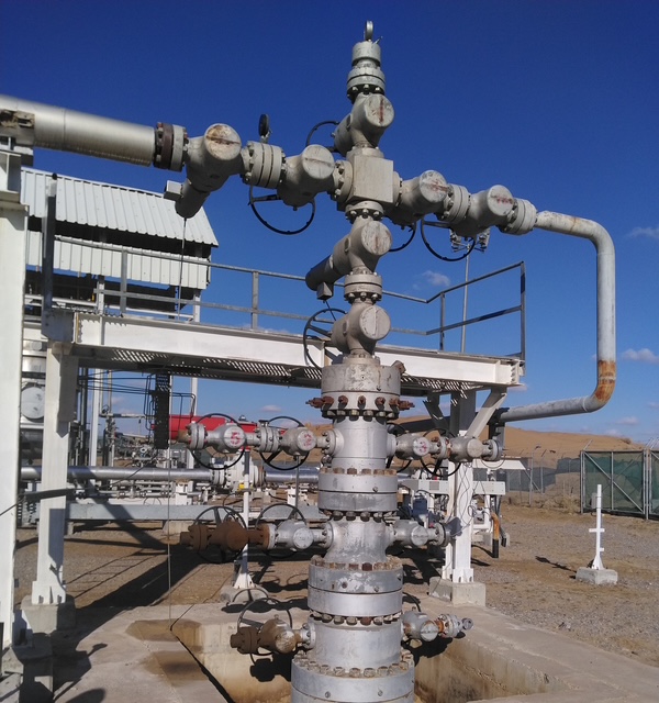 Projects img 20241220 142925